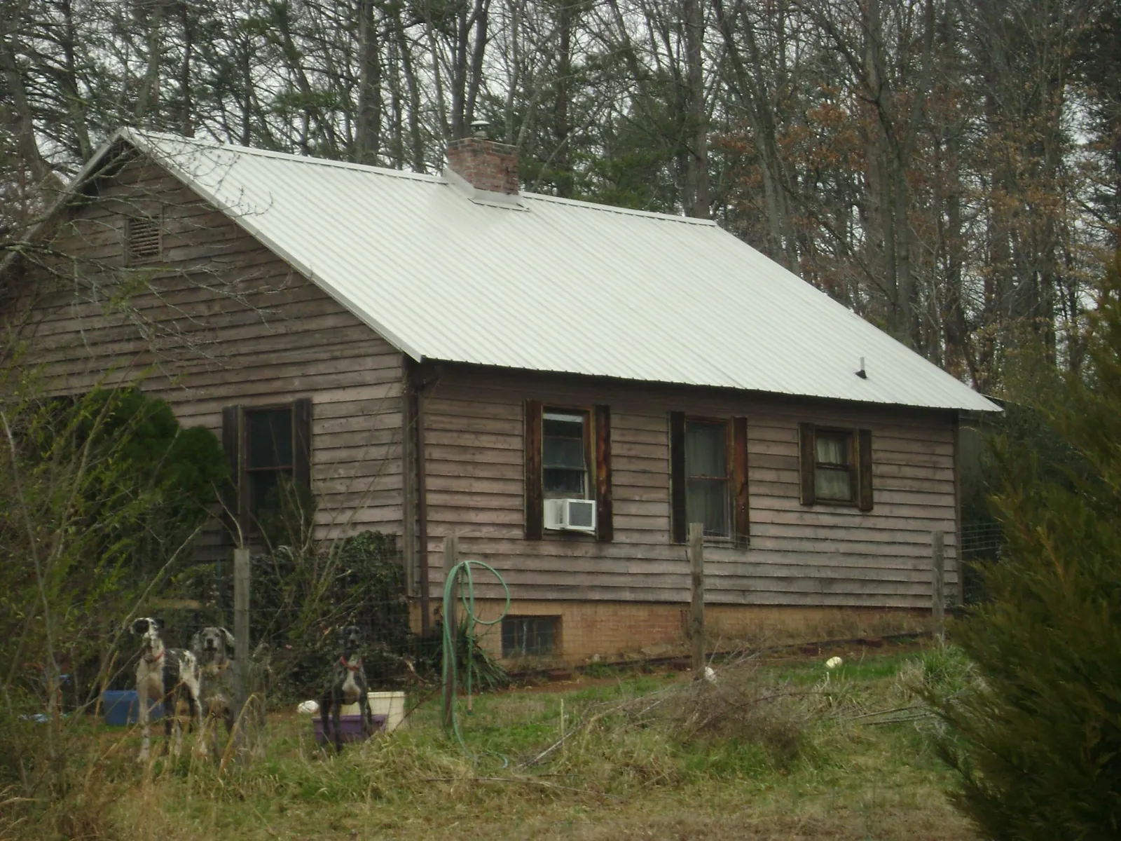 White metal roof on an old wood sided farmhouse, from a Asphalt Shingle Roof Repair job in Anaconda